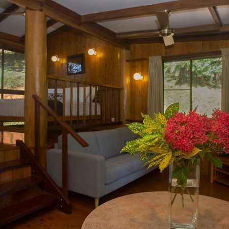 Milkwood Lodge Cooktown Extérieur photo