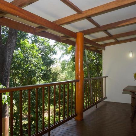 Milkwood Lodge Cooktown Extérieur photo