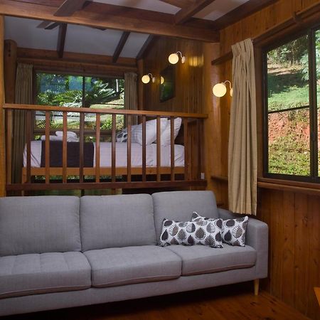 Milkwood Lodge Cooktown Extérieur photo