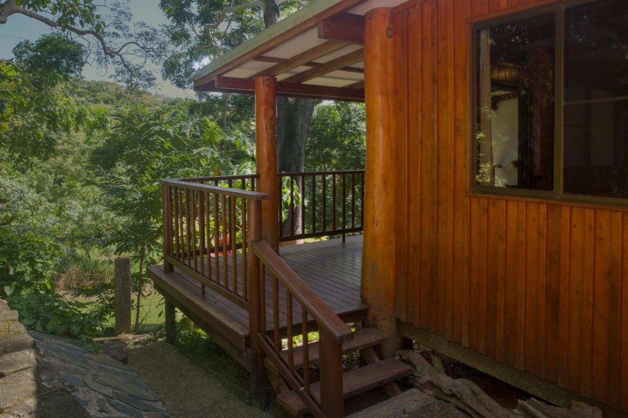 Milkwood Lodge Cooktown Extérieur photo