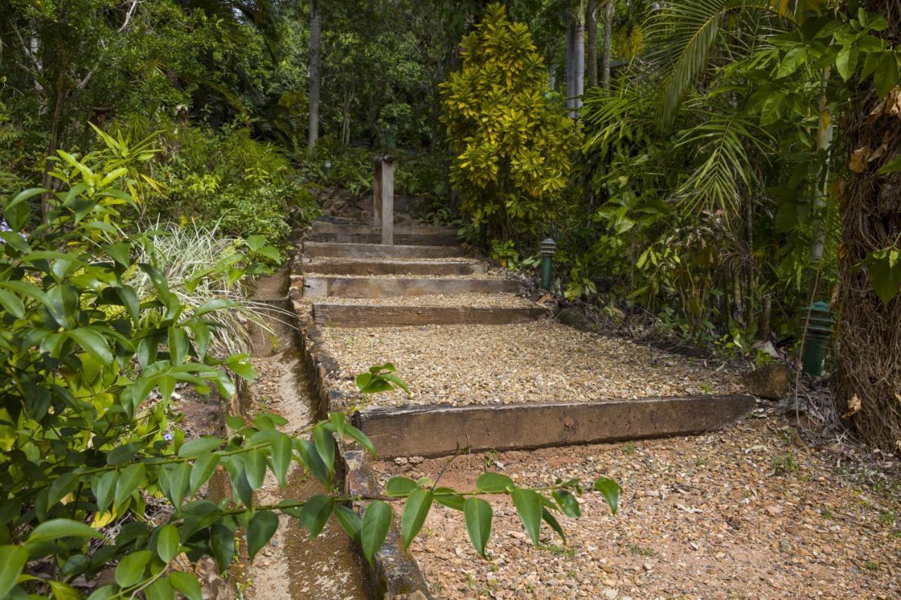 Milkwood Lodge Cooktown Extérieur photo
